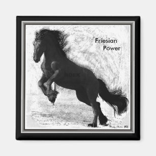 Friesian Magnet 2 van de Macht Magneet