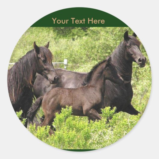 Friesian Mares Stickers #1 (Voorkant)