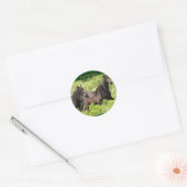 Friesian Mares Stickers #1 (Envelop)