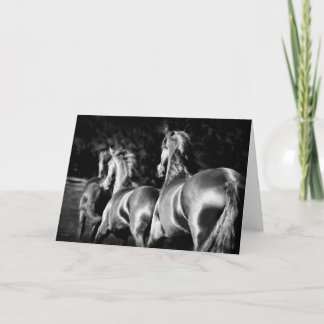 Friesian merrieskaart kaart