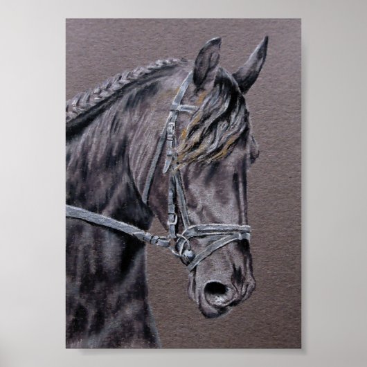Friesian Poster (Voorkant)