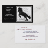 Friesian Power Visitekaartjes (Voorkant / Achterkant)