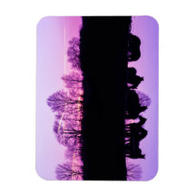 Friesian Reflections at Sunset