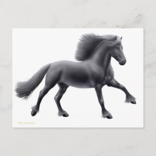 Friesian Running Free Briefkaart