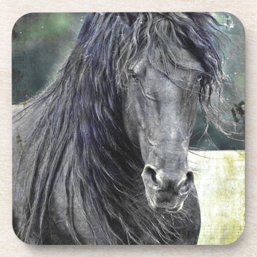 Friesian Stallion Bier Onderzetter (Voorkant)