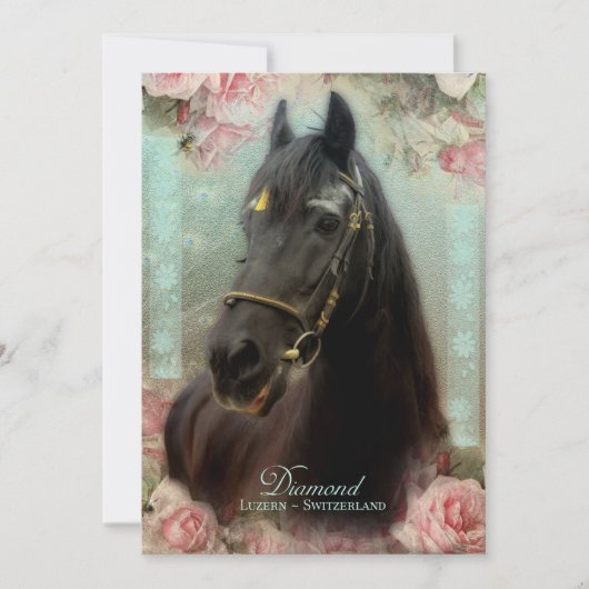 Friesian Stallion DIAMOND - Wenskaart Bedankkaart (Voorkant)