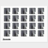 Friesian Stallion Vierkante Sticker (Vel)