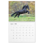 Friesian Stallion Wolfert 467 Sport Kalender (Mar 2026)