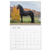 Friesian Stallion Wolfert 467 Sport Kalender (Jan 2027)