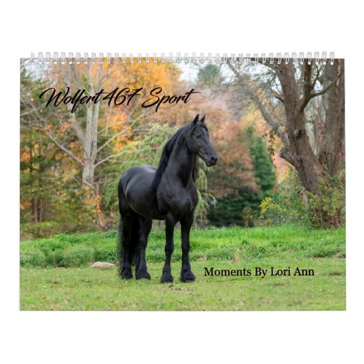 Friesian Stallion Wolfert 467 Sport Kalender (Hoes)