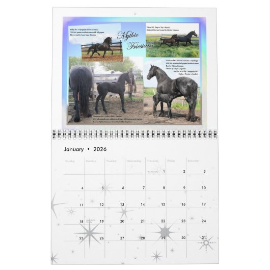 Friesian standaardgrootte van de Foto van het Kalender (Jan 2026)