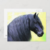 friespaard briefkaart (Voorkant / Achterkant)