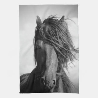 Friessische hengst in de wind. theedoek