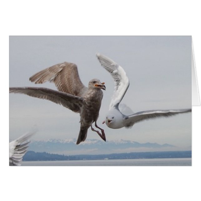 friet 2 (Voorkant Horizontaal)