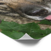 Friga in de tuin poster (Hoek)