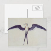 Frigate Bird Briefkaart (Voorkant / Achterkant)