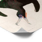 Frigate Pelican Birds of America Audubon Print (Hoek)