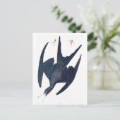 Frigate Penguin Briefkaart (Staand voorkant)