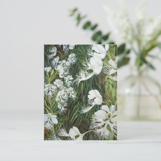 Fringed Prairie Orchids Briefkaart (Staand voorkant)