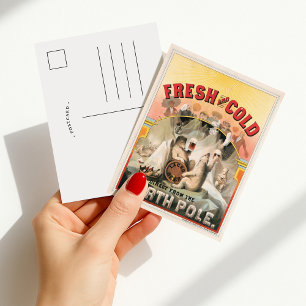 Fris en koud - Bier direct van de Noordpool Briefkaart