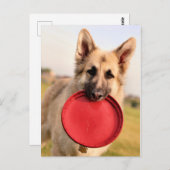 Frisbee Briefkaart (Voorkant / Achterkant)