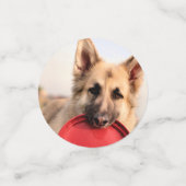 Frisbee Confetti (Kleine voorkant)