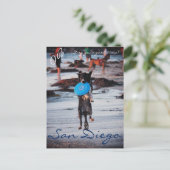 Frisbee Dog Briefkaart (Staand voorkant)