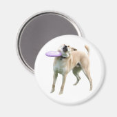 Frisbee Dog Meme Magnet Magneet (Voorkant / Achterkant)