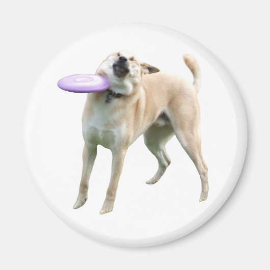 Frisbee Dog Meme Magnet Magneet (Voorkant)