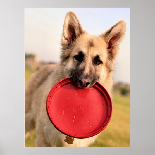 Frisbee Poster (Voorkant)