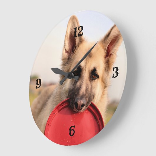 Frisbees Grote Klok (Hoek)