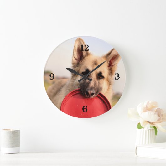 Frisbees Grote Klok (Huis)