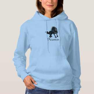 Frisiaans paard, de zwarte schoonheidssteel hoodie