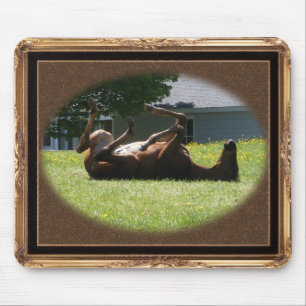 Frisky Foal ~ mousepad Muismat