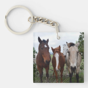 Frisky haar, vier paardenvrienden, sleutelhanger