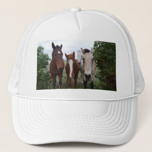 Frisky haar, vier paardenvrienden, trucker pet