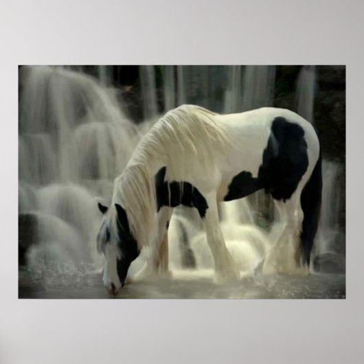 Frison, affiche Papier (mat) (Devant)