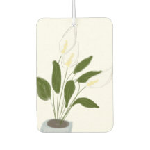 Frisse lucht - het geluk van de vrouw