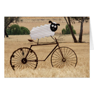 Frissons du mouton blanc