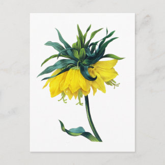 Fritillaire Imperiale ver Jaune door Pierre Joseph Briefkaart