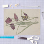 Fritillaria door Charles Mackintosh Tissuepapier (Craft)