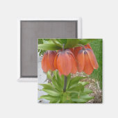 Fritillaria imperialis Oranje bloemmagneet Magneet (Voorkant / Achterkant)