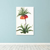 Fritillaria Imperialis uit "Les Lilacees", 1802- Canvas Afdruk (Insitu (Houten vloer))