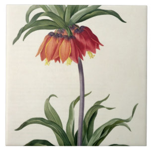 Fritillaria Imperialis uit "Les Lilacees", 1802- Tegeltje