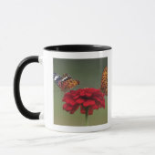 Fritillary Butterfly (Argyreus hyperbius) op 2 Mok (Links)