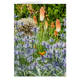 Fritillary Butterfly in een zomertuin
