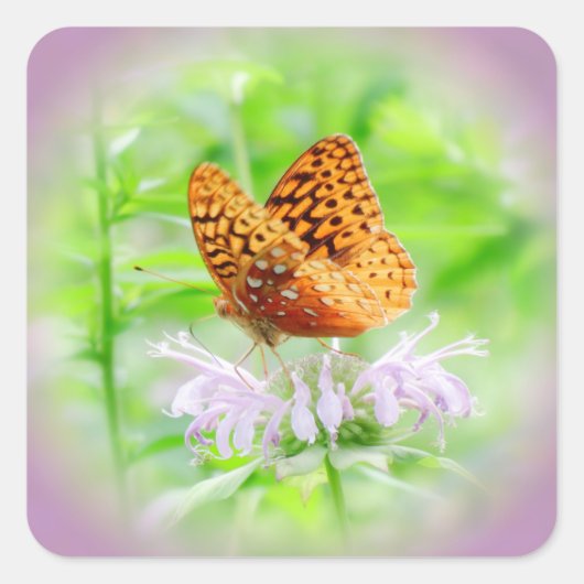 Fritillary Dream - Sticker Carré diurne (Devant)