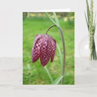 Fritillary Flower Note Kaart