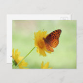 Fritillary Fun - Butterfly Briefkaart (Voorkant / Achterkant)