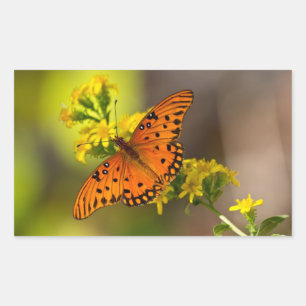 Fritillary Gulf Butterfly Gifts and Apparel Rechthoekige Sticker